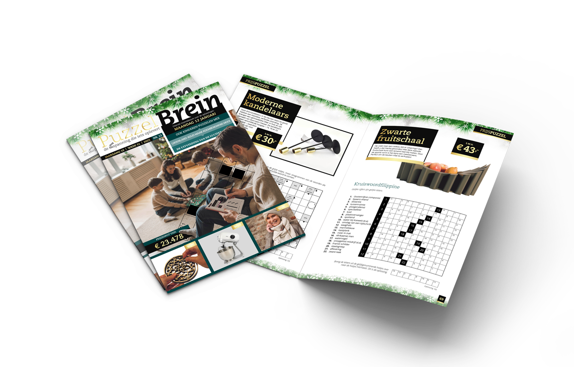 puzzelwoordenboek - Puzzelbrein